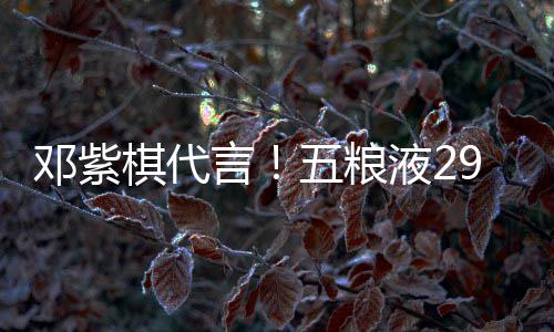 邓紫9度打年棋代轻人白酒言液2元主五粮上市